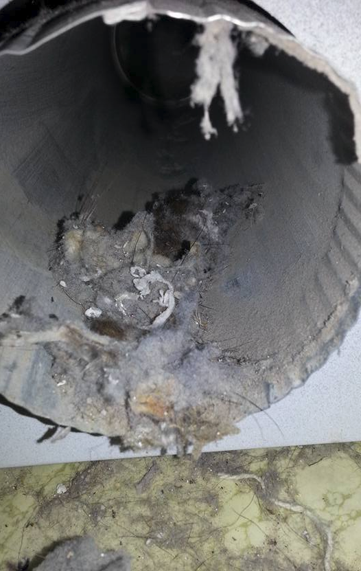 What's Living In Your Dryer Vent?